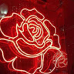 Meet your Posher, Rose